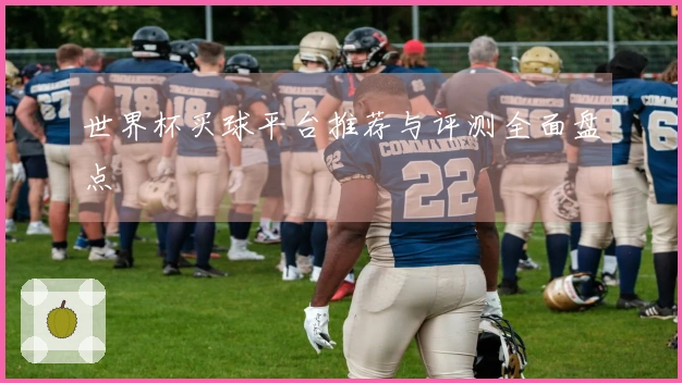 世界杯买球平台推荐与评测全面盘点