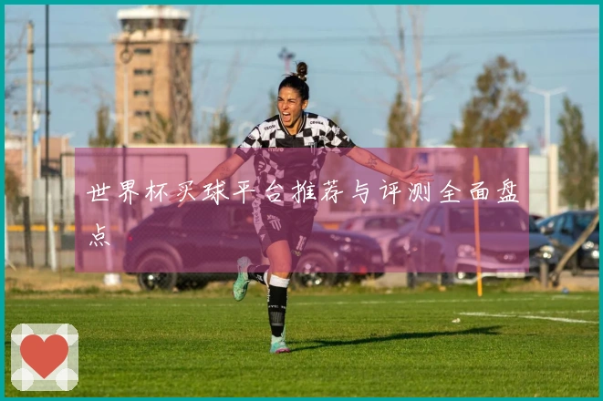 世界杯买球平台推荐与评测全面盘点