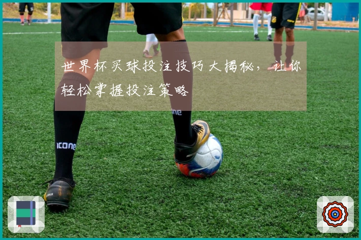 世界杯买球投注技巧大揭秘，让你轻松掌握投注策略